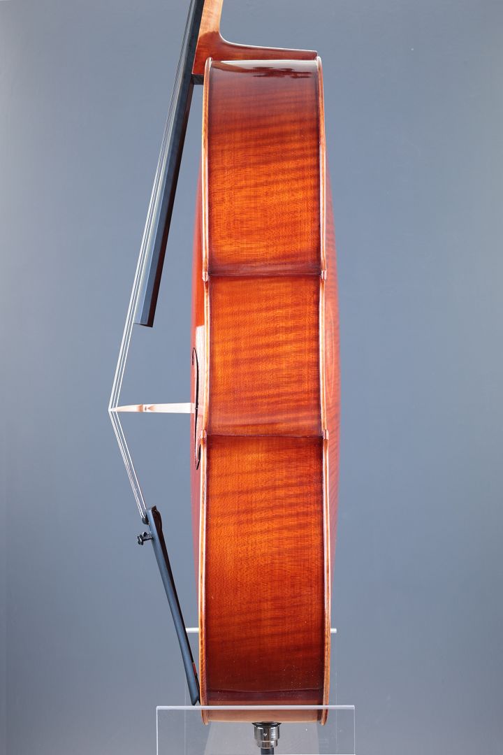 Klotz Julia - Mittenwald Anno 2026 - Palmkatzl - C-436